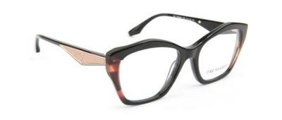 Оправа   TRUSSARDI TSW6204 P01