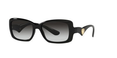 Солнцезащитные очки DOLCE & GABBANA 6152 501/8G 54