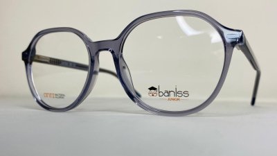 Оправа   BANISS BS9027 c02 П