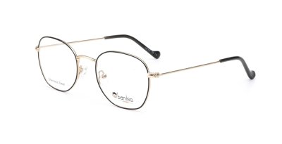 Оправа   BANISS BY1012 c02