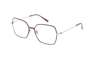 Оправа   RUUD VAN DYKE 1631T-9