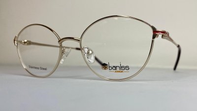 Оправа   BANISS BR5085 с02 П