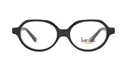 Оправа   BANISS BSJ5087 c01