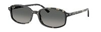 Солнцезащитные очки Ray Ban 2232 133371 54