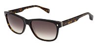 Солнцезащитные очки TED BAKER DAYTON 1753 119 TB175311958