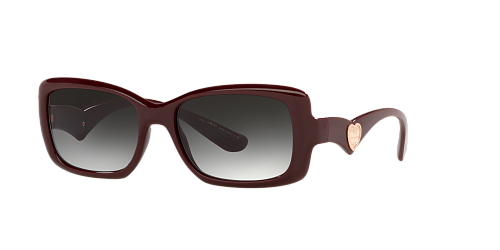 Солнцезащитные очки DOLCE & GABBANA 6152 32858G 54