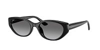 Солнцезащитные очки Ray Ban 4457D 667711 55