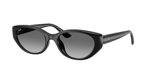 Солнцезащитные очки Ray Ban 4457D 667711 55