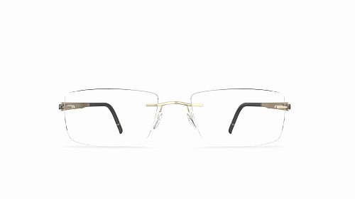 Оправа   Silhouette Sil_Blend 5555_KK 7530 55/19