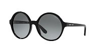 Солнцезащитные очки VOGUE 5393S W44/11 54