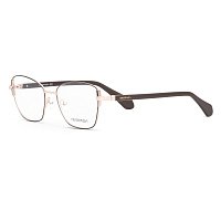 Оправа   DESPADA 5421 (C 1)