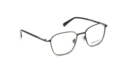 Оправа   DESPADA 5348 (C 4)