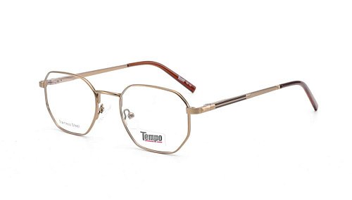 Оправа   TEMPO TE1055 c03