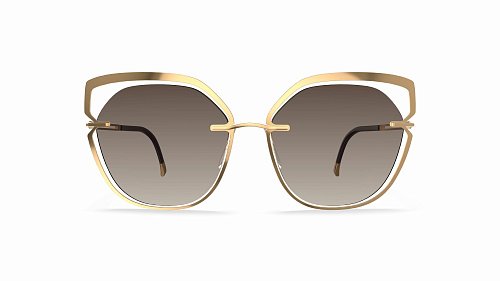 Солнцезащитные очки Silhouette Silhouette 8181 7520