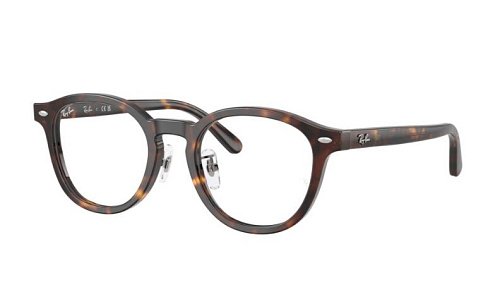 Оправа   Ray Ban 5443D 2012 49