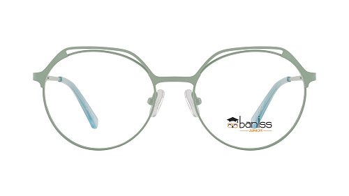 Оправа   BANISS BR5076 c03 П