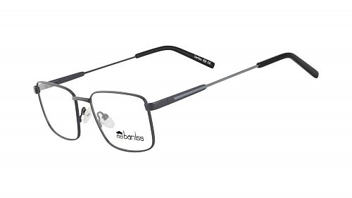 Оправа   BANISS BR6060 C02
