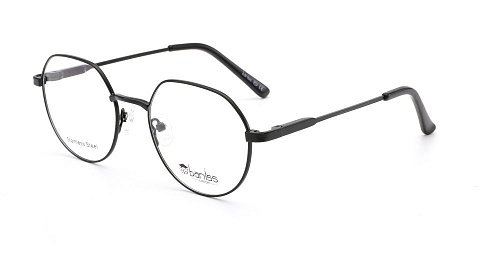 Оправа   BANISS BR5083 C04