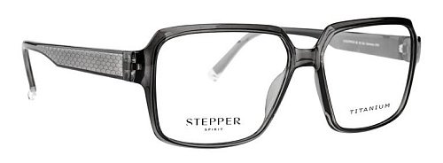 Оправа   STEPPER 10183 F220