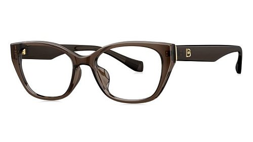 Оправа   BOLON BJ 5177 B21