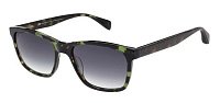 Солнцезащитные очки TED BAKER REEF 1780 507 TB178050758