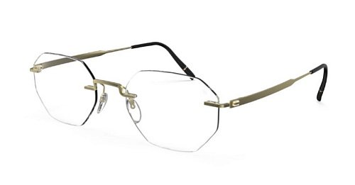 Оправа   Silhouette Sil_TheVisionary 5586_PA 8540 49/20