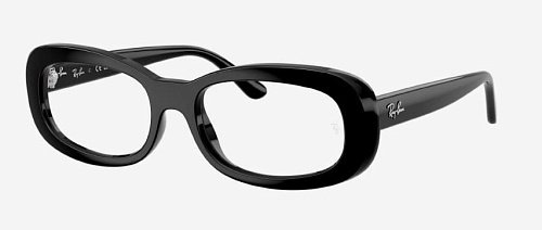 Оправа   Ray Ban 2221V 2000 53