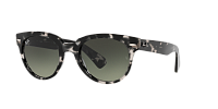 Солнцезащитные очки Ray Ban 2199 133371 52