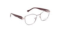Оправа   DESPADA 5423 (C 2)