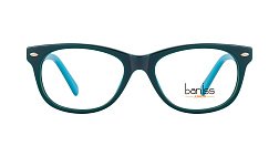 Оправа   BANISS BSJ6060 c03 Д