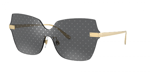 Солнцезащитные очки DOLCE & GABBANA 2260 02/L 46