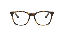 Оправа   Ray Ban 7177 2012  51