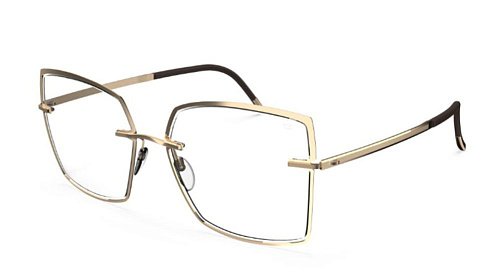 Оправа   Silhouette Sil_Lignes_Dor L024_75 7520 54/17