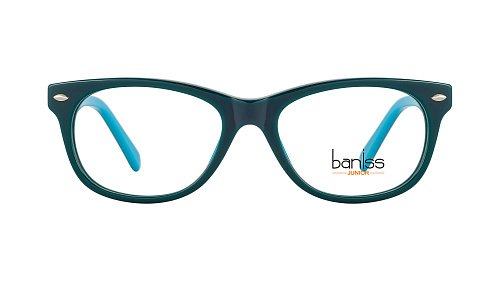 Оправа   BANISS BSJ6060 c03 Д