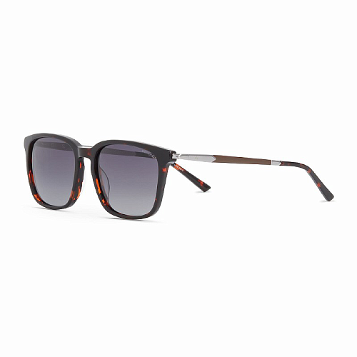 Солнцезащитные очки DESPADA 2440 (C 2)