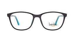 Оправа   BANISS BSJ5106 с02 П