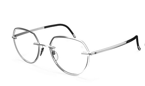 Оправа   Silhouette Sil_Lignes_Dor L023_75 6560 49/19